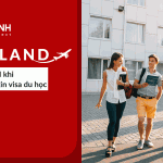 Những ưu đãi khi xin học- xin học bổng- xin visa du học New Zealand & Mời gặp các trường – tháng 8/ 2019